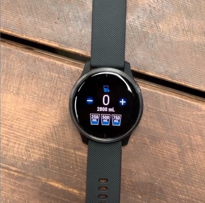 garmin vivoactive 4 watch