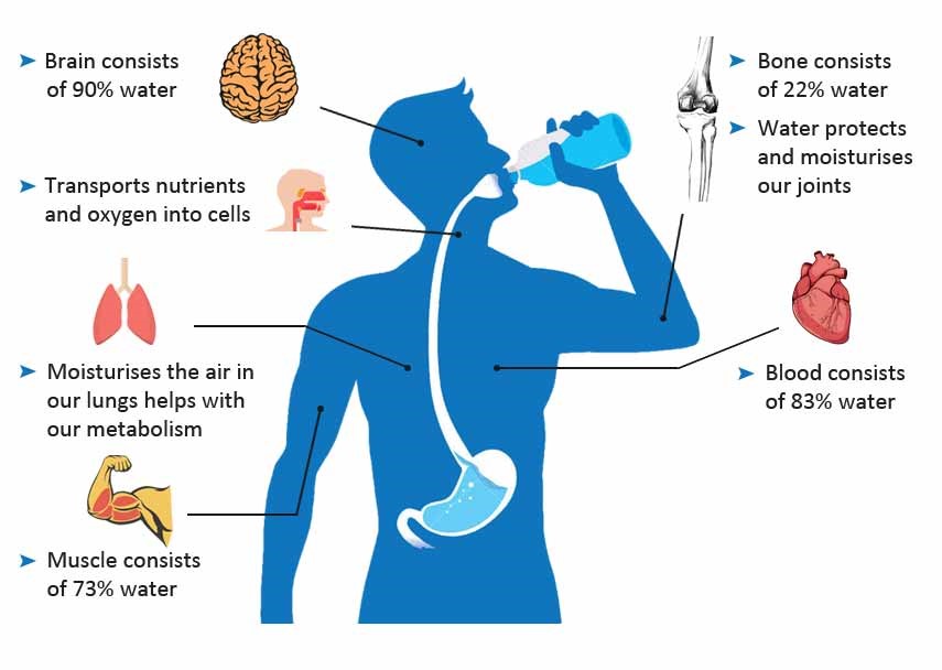 over-80-of-the-people-don-t-drink-enough-water-are-you-one-of-them