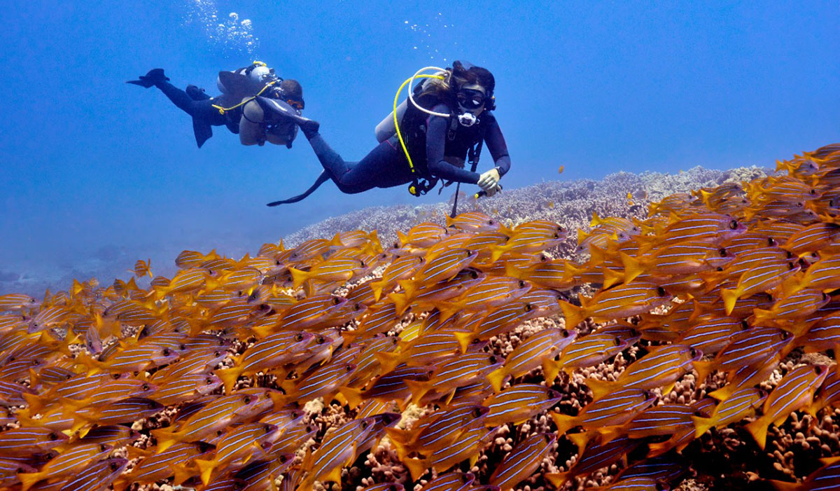 Scuba Diving