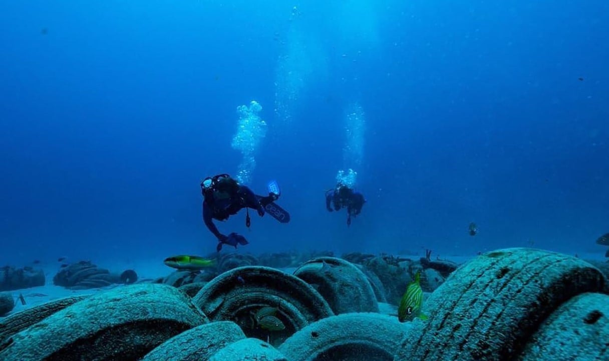 Garmin dive technology